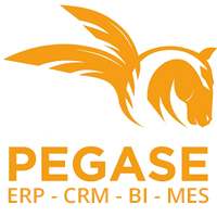 Logo Pegase Maroc